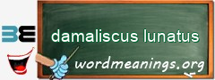 WordMeaning blackboard for damaliscus lunatus